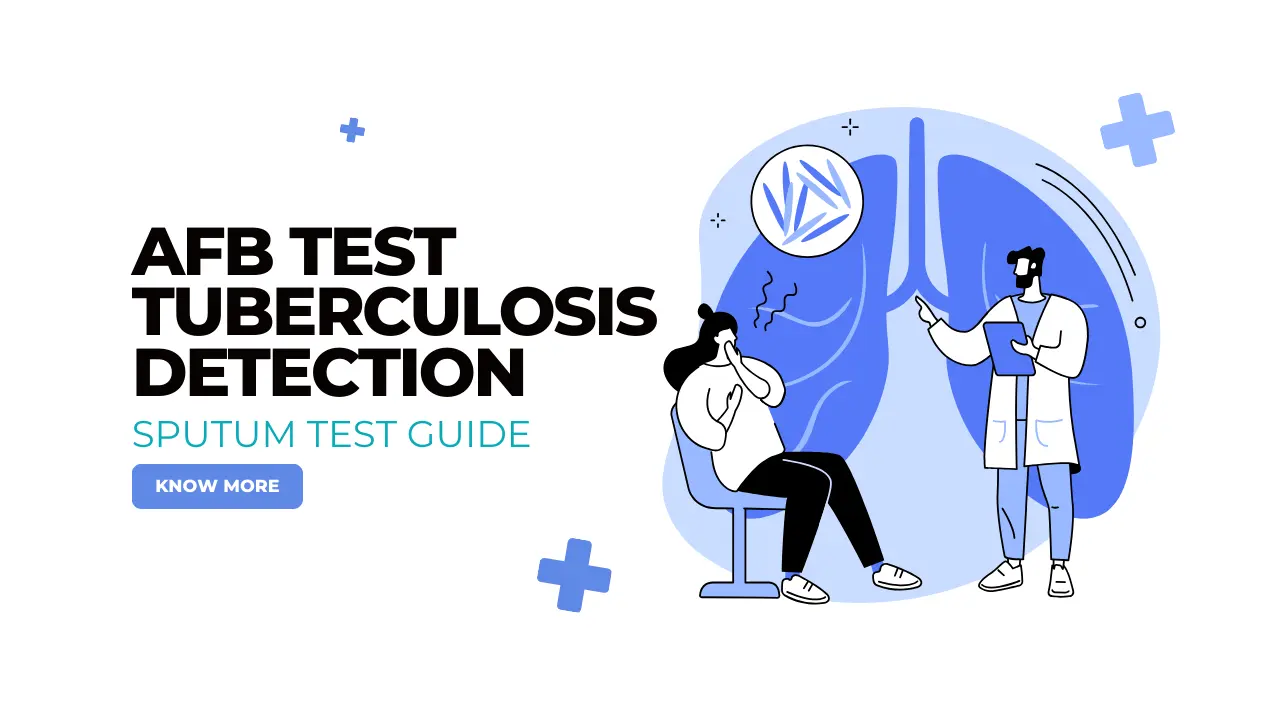 AFB Test for Tuberculosis Detection | Sputum Test Guide